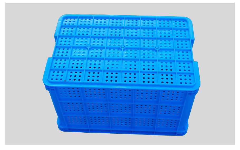 飞龙真人棋牌飞龙软件官网圆眼飞龙体育数据盘口周转筐 飞龙真人棋牌飞龙软件官网圆眼飞龙体育数据盘口周转筐