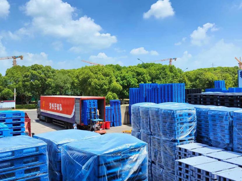 飞龙体育数据盘口飞龙棋牌下载