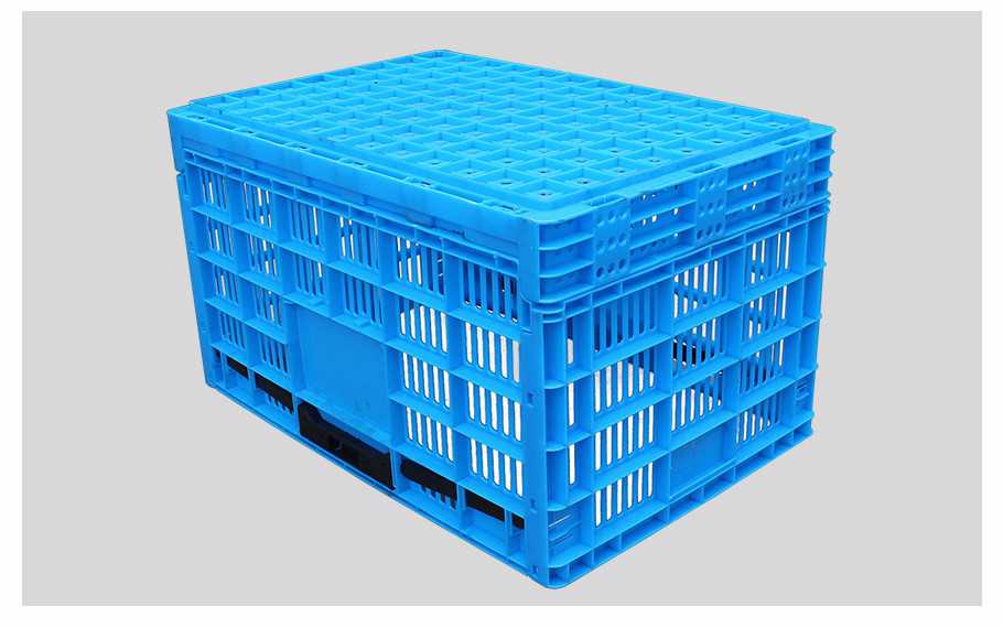 飞龙真人棋牌飞龙软件官网600-340飞龙体育数据盘口飞龙电子捕鱼周转筐